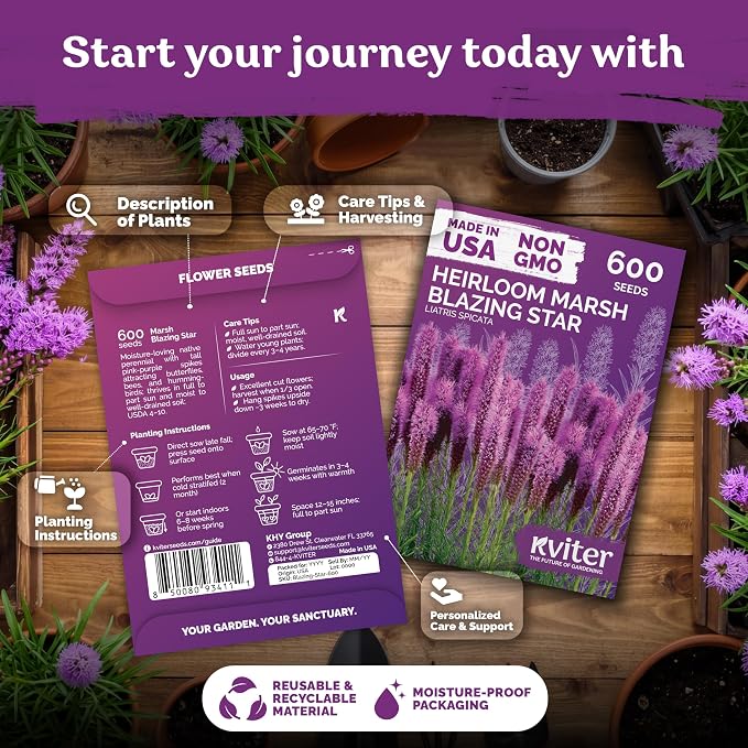 KVITER 600 Marsh Blazing Star Seeds for Planting (Liatris Spicata) – Gayfeather Dense Meadow Blazing Star Seed Packet – Heirloom Seed, Perennial Wildflower Seeds Bulk for Garden, Containers, Outdoors