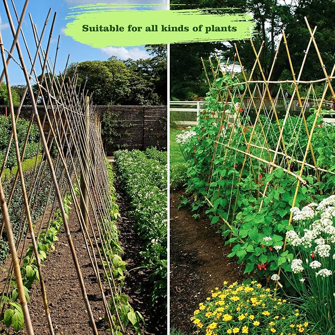 Jollybower 15pcs 3/4" D Thicker Heavy Duty Bamboo Stakes, 7FT Plant Stakes, Natural Garden Stakes for Tomato, Bean, Flowers,Trees Potted and Climbing Plant Support
