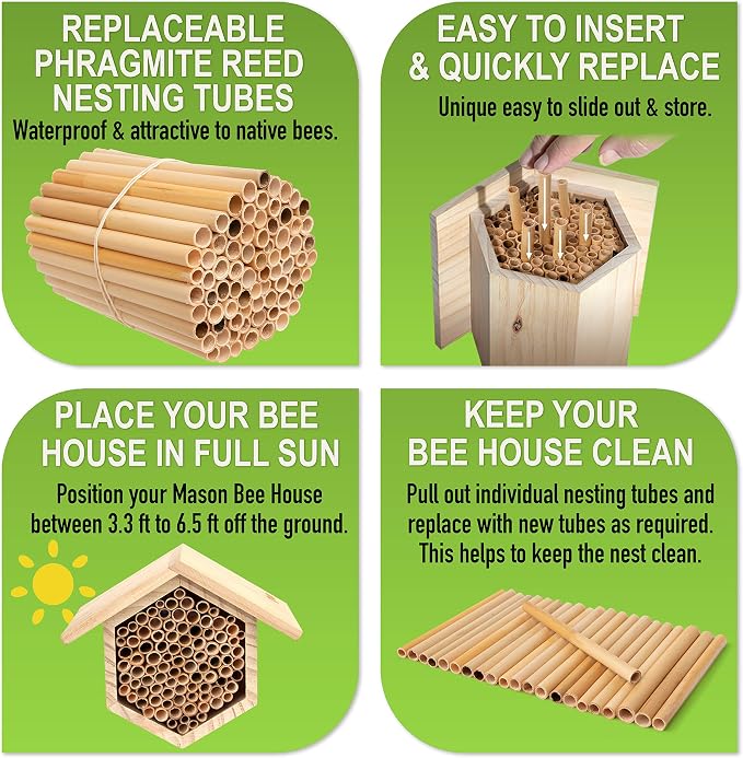 Rivajam 125 Phragmite Reed Mason Bee Tubes | Refill for Bee House, Hotel Nest Box, Solitary Hive & Pollinator Box | Garden Starter Kit & Supplies