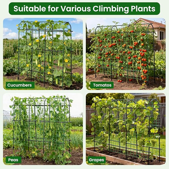 OTOSUNNY 72" Garden Arch Trellis for Climbing Plants, Cucumber Trellis Arch for Vegetables Tomatoes Cucumbers Peas Beans and Squash, Tall Outdoor Metal Trellis for Raised Garden Bed, Black