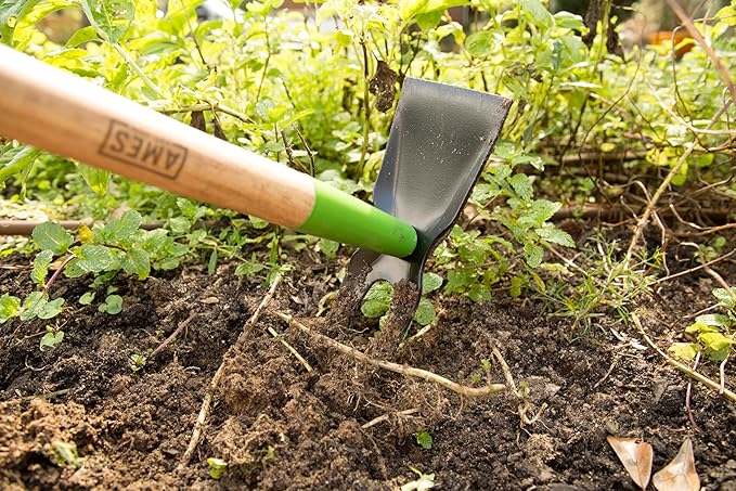 AMES 3-pc. Weeding Kit with Action Hoe, 2-Prong Hoe, and Weed Cutter