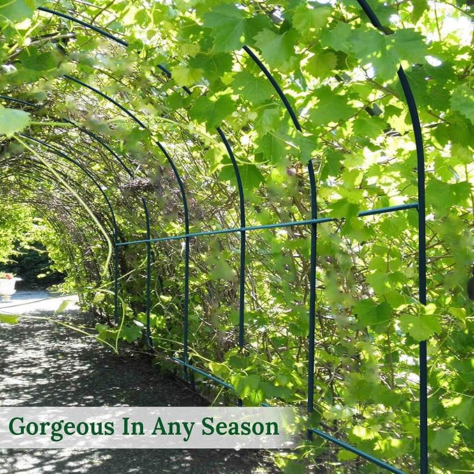 Multi-Size Large Garden Support Arch Frame Climbing Plant Arch Arbor for Flowers/Fruits/Vegetables (6.5ft x 7ft x 7.2ft)