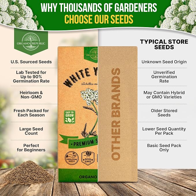 White Yarrow Seeds Pack 0.25 G - Over 2000 Non-GMO Heirloom Yarrow Seeds for Planting Herbs in Individual Seed Packet, Herbs Seeds for Planting Home Garden Indoor & Outdoor Gardening