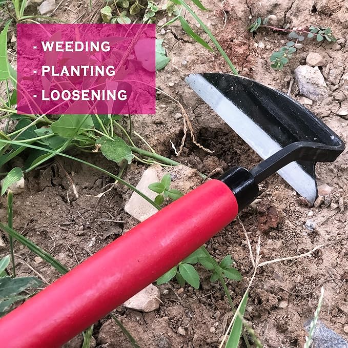 Japanese Weeding Hoe Gardening Tools 13.5-Inch Weed Remover Tool High-Carbon Steel One-Piece Molding with Solid Wood Handle(Red)
