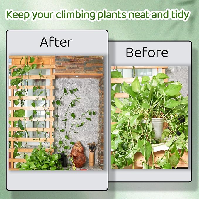 30/60/100PCS Plant Climbing Wall Fixture Clips,Invisible Wall Plant Vines Fixing Clips,Self-Adhesive Vine Support Holder for Climbing Plants. (100, Green-Leaf Shaped)