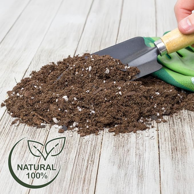Money Tree Soil (4 Quarts), Potting Mix for Planting/Repotting Pachira Aquatica, All-Natural Custom Soil Blend