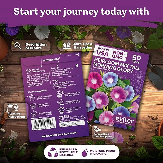 KVITER 50 Tall Morning Glory Seeds Mix (Ipomoea purpurea) – Climbing Morning Glory on the Vine, Annual Flower Seeds for Planting – Heirloom Seed Packets for Home Garden, Fences, Containers Outdoors