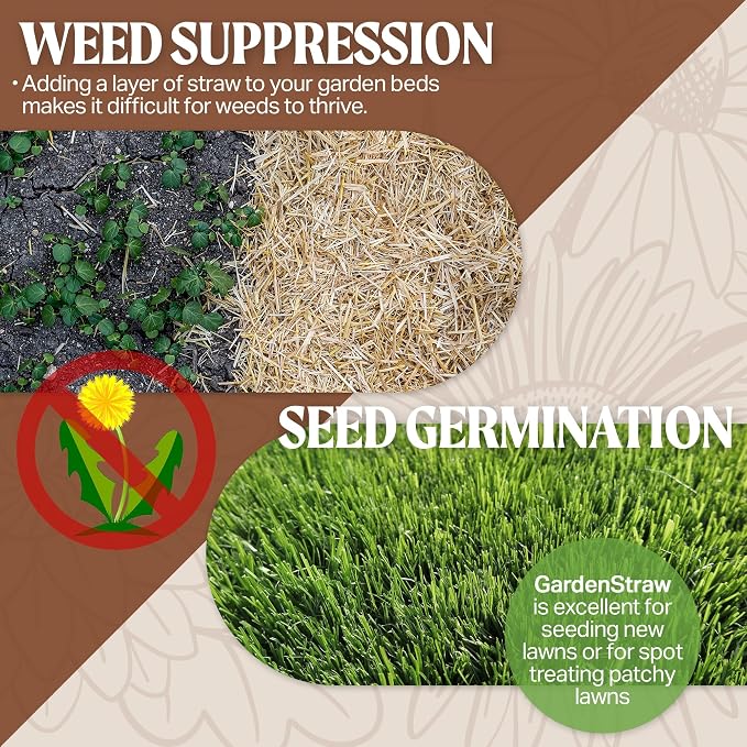 HealthiStraw GardenStraw, 3 cu ft (20 lbs) All-Natural Mulch for Gardens, Vegetables & Lawn Seeding – Water-Conserving Wheat Straw – Thoroughly Cleaned, Sustainable