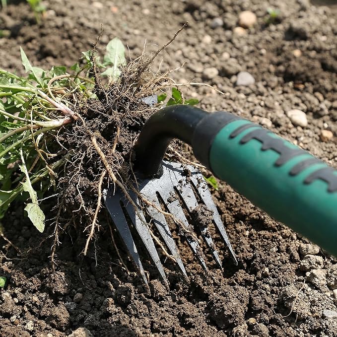 2 Pack Weeding Tools, 6-Tooth Manganese Steel Manual Weeder & Digging Tool with Ergonomic Rubber Grip, Multi-Functional Gardening Hand Tools for Removing Dandelions, Thistles & Yard Weeds