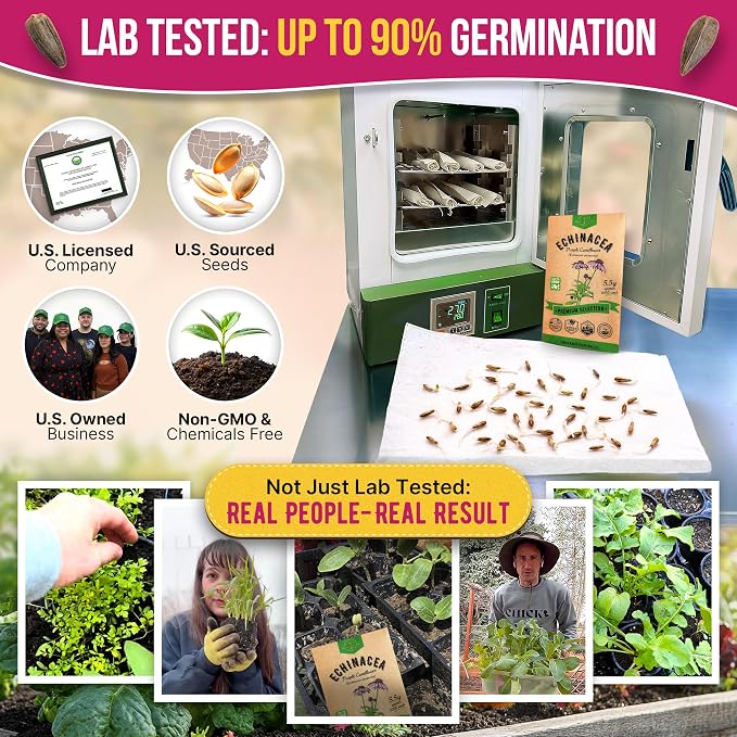 Organo Republic Echinacea Seeds Pack 5.5 G - Over 1000 Non-GMO Heirloom Echinacea Seeds for Planting Herbs in Individual Seed Packet, Herbs Seeds for Planting Home Garden Indoor & Outdoor Gardening