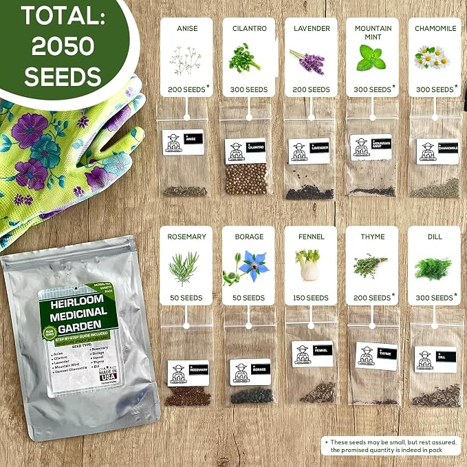 10 Medicinal Herb Seeds - Heirloom, Non GMO, USA Made - 2050 Most Needed Herbal and Medical Tea Seeds Pack for Planting Indoors and Outdoors - Lavender, Mountain Mint, Chamomile & More