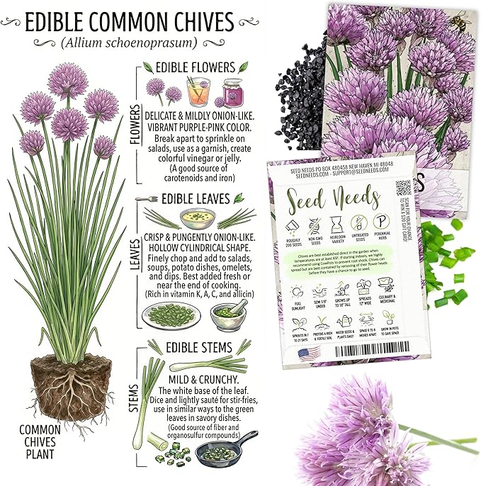 Seed Needs Edible Wildflower Seed Packet Collection (7 Varieties of Flower Seed for Planting) Non-GMO Heirloom & Untreated - Includes Viola, Pansies, Chives, Borage, Calendula, Nasturtium & Bee Balm