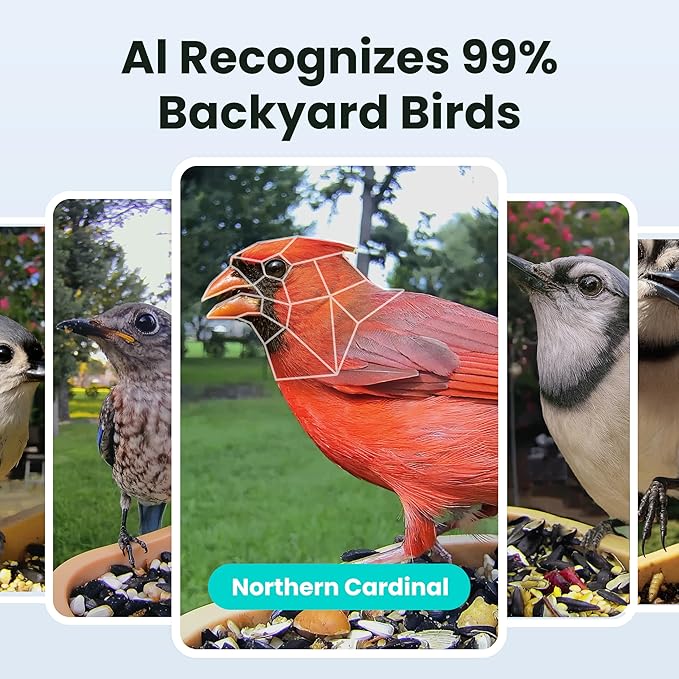 Birdfy Smart Bird Feeder with Camera for Rookie, Camera Bird Feeder Dual Night Vision, AI Recognition IP66 Waterproof for BirdLovers, 1.3L Capacity