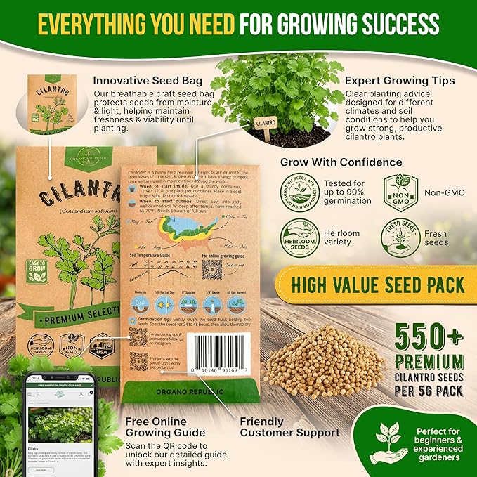 Cilantro Seeds Pack 5 G - Over 550 Non-GMO Heirloom Cilantro Seeds for Planting Herbs in Individual Seed Packet, Herb Seeds for Planting Home Garden Indoor & Outdoor Gardening