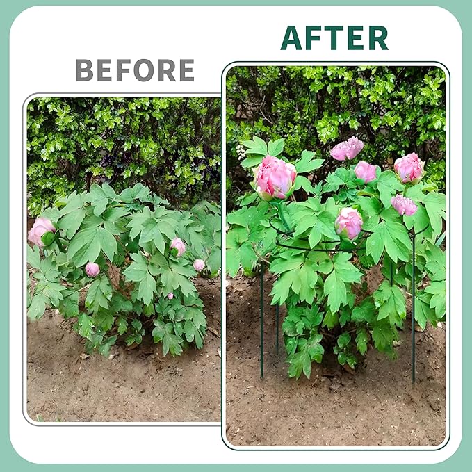 8 Sets Peony Support Cage,14"Diax32"High Heavy Duty Metal Plant Support,Grow Through Hoops Grids with 4 Thickened 5mm Legs,Strong Support Brace for Heavy Blossoms,Flower Support Ring for Peonies,Rose