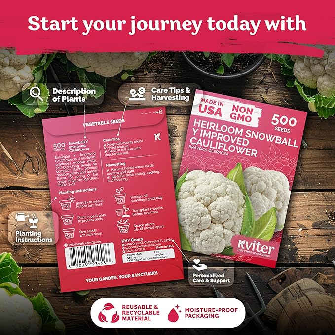 KVITER 500 Snowball Y Improved Cauliflower Seeds (Brassica Oleracea) - Cauliflowers, Smooth White Heads and Curds, Heirloom Seed, Non-GMO Seed Packets – Vegetable Seeds for Outdoor Vegetable Garden