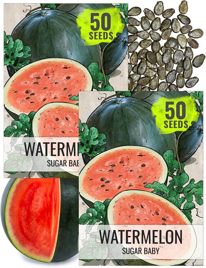 Seed Needs Watermelon Seeds for Planting Sugar Baby Watermelons - Non-GMO Heirloom & Untreated - Grow an Outdoor Home Grown Garden Filled with Sweet Fruits (2 Packs)