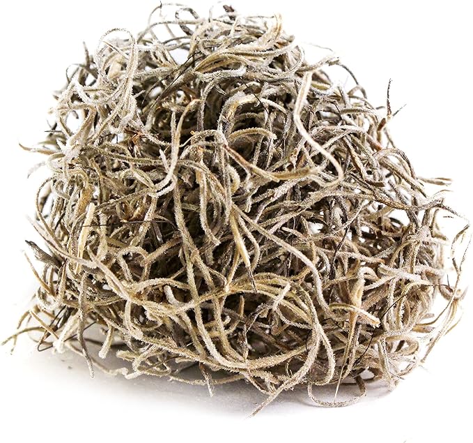 SuperMoss (26911 Spanish Moss Dried, Natural, 8 Ounces (Pack of 2)