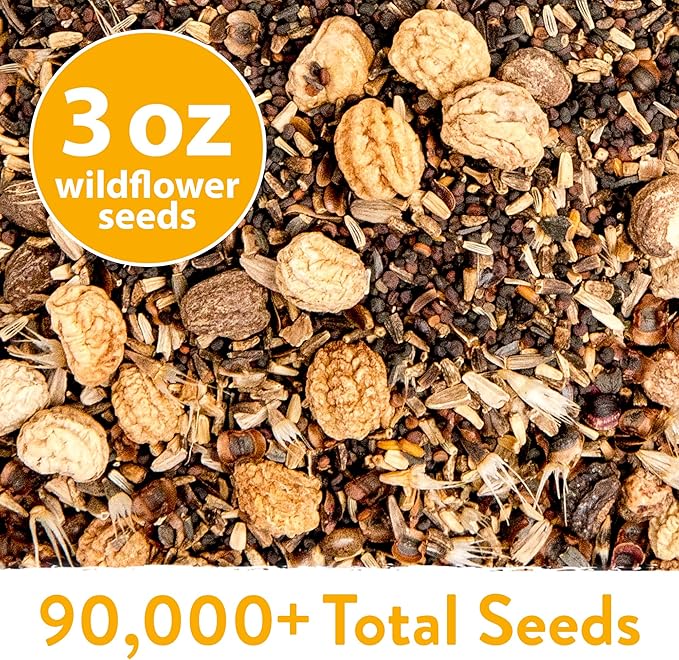 HOME GROWN Wildflower Seeds Bulk Mix | 90,000+ Non-GMO Perennial Flower Seed for Outdoor Planting | 24 Varieties to Attract Bees, Birds & Hummingbirds | Butterfly Garden | 3 oz