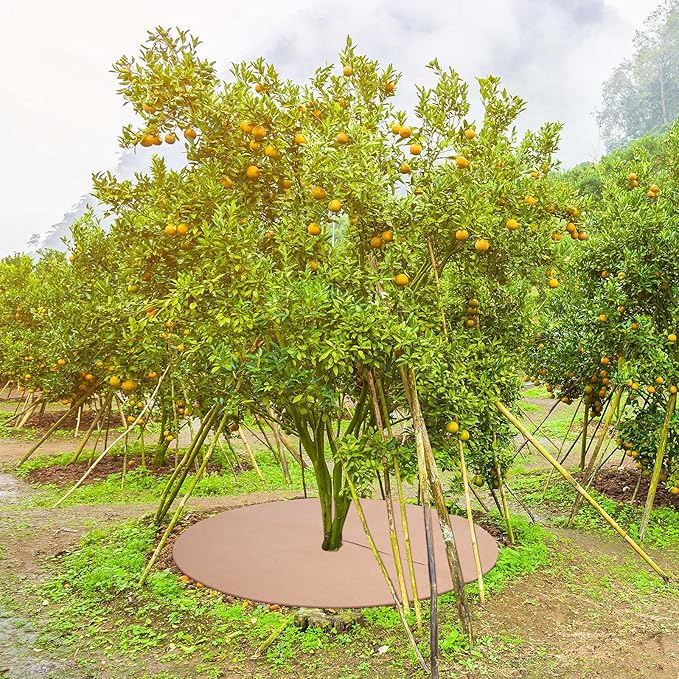 Shimeyao 8 Pack 32.2 Inch Non Woven Tree Mulch Ring Thickened Tree Mat Protector Reusable Trees Weed Mat Round Fabric Trees Root Barrier or Landscape Weed Barrier Plant Root Protection(Khaki)