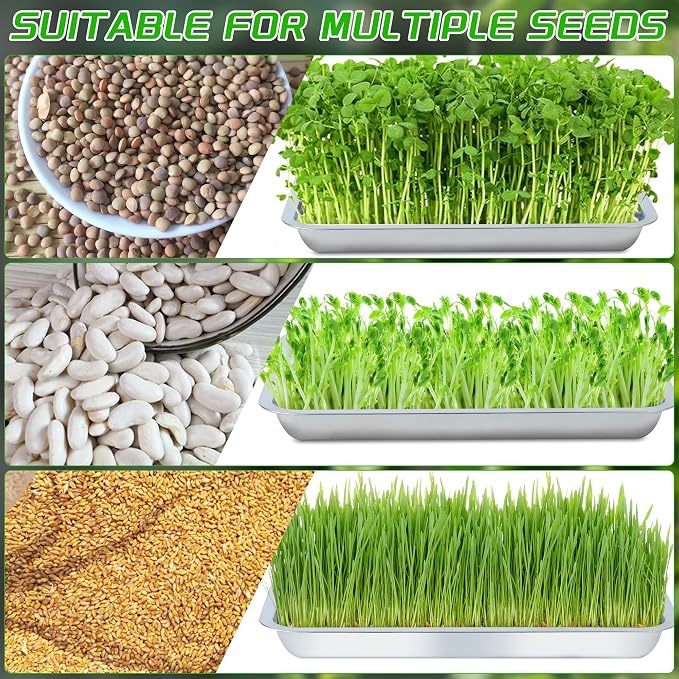 6 Pack Seed Starter Tray 13.78x 10.24x 1.38Inch Plant Germination Trays Stainless Steel Seed Sprouting Trays Microgreens Growing Trays