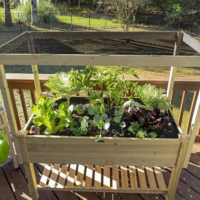 Coolaroo 50% UV Block Garden Shade Cloth for Plants - Tear-Resistant Breathable Shade Fabric for Greenhouses, Seedlings & Early Growth, 6ftx100ft Roll, Black