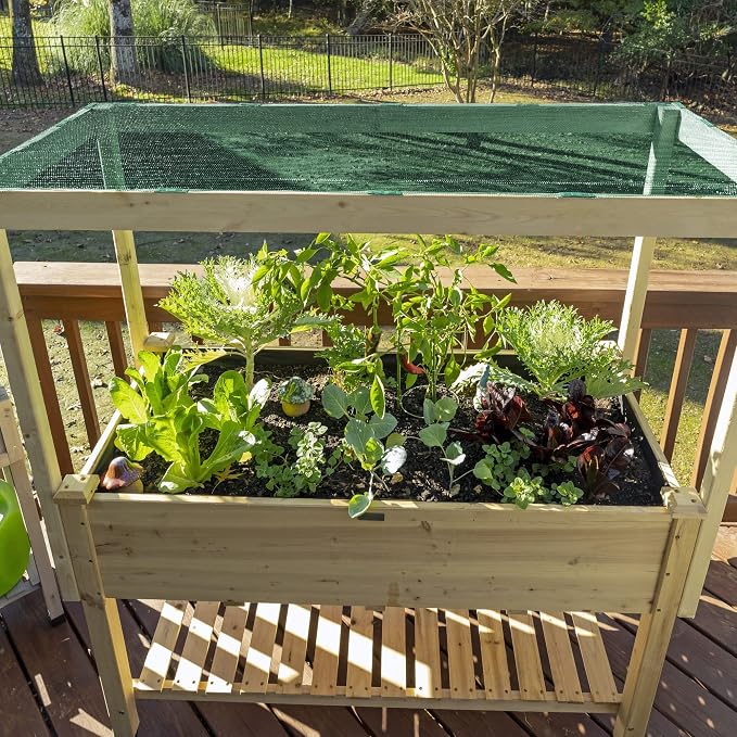 Coolaroo 50% UV Block Garden Shade Cloth for Plants - Tear-Resistant Breathable Shade Fabric for Greenhouses, Seedlings & Early Growth, 6ftx100ft Roll, Forest Green