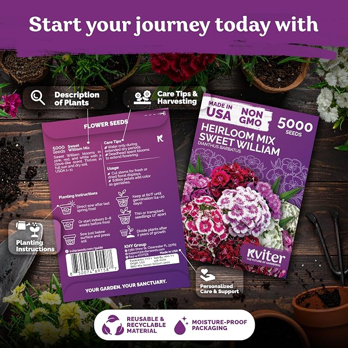 KVITER 5000 Mix Sweet William Seeds for Planting (Dianthus barbatus) – Heirloom Seed, Clove-Scented Blooms, Drought Tolerant – Perennial Flower Seeds to Plant Outside & Inside