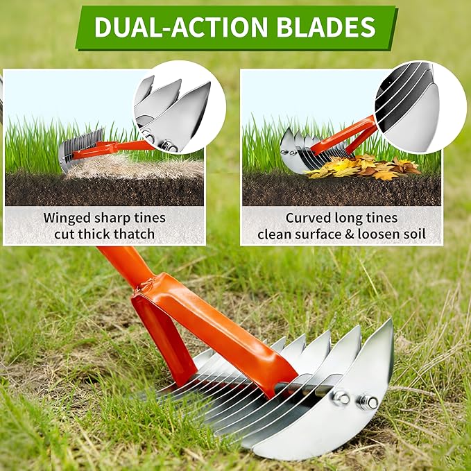 Thatch Rake for Lawn,15" Dethatcher Rake,Heavy-Duty Metal Thatching Rake,68" Adjustable Manual Dethatcher with 19 Tines,Dead Grass Remover Tool for Yards and Gardens