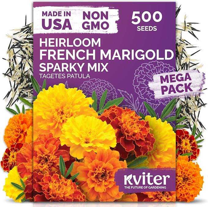 KVITER 500 French Marigold Seeds, Sparky Mix (Tagetes patula) — Marigold Flowers, Heirloom & Non GMO, Vibrant Yellow & Orange Blooms — Flower Seeds to Plant Outside, Borders, Beds, Container