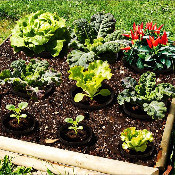 40Pcs Planting Grow Rings,7.8-11.8 Inch Interlocking Plant Barrier, Modular Garden Edging for Vegetables, Brown Adjustable Plant Support Circles for Moisture Retention & Weed Control
