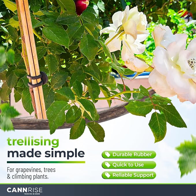 Anchor Bands for Trellising – 110-Pack 5 cm/1.96 in Rubber Vine Ties, UV-Protected Bands: Grapevines, Trees & Climbing Plants – Tool-Free Loop-and-Anchor Design for Install, Weatherproof