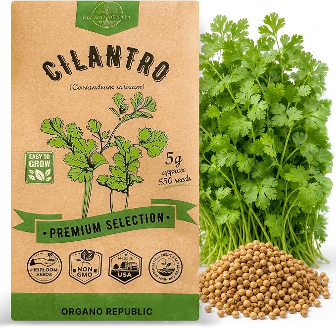 Cilantro Seeds Pack 5 G - Over 550 Non-GMO Heirloom Cilantro Seeds for Planting Herbs in Individual Seed Packet, Herb Seeds for Planting Home Garden Indoor & Outdoor Gardening