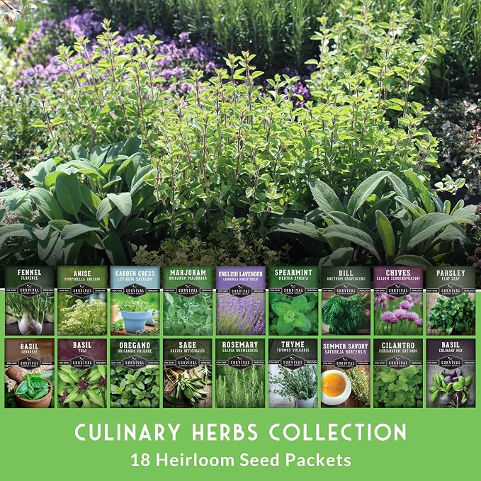 Culinary Herb Seeds Variety Pack for Planting - Grow 18 Heirloom Kitchen Herbs with Basil, Cilantro, Parsley, Dill, Chives, Oregano, Sage, Rosemary, Mint - Indoor or Outdoor - Survival Garden Seeds