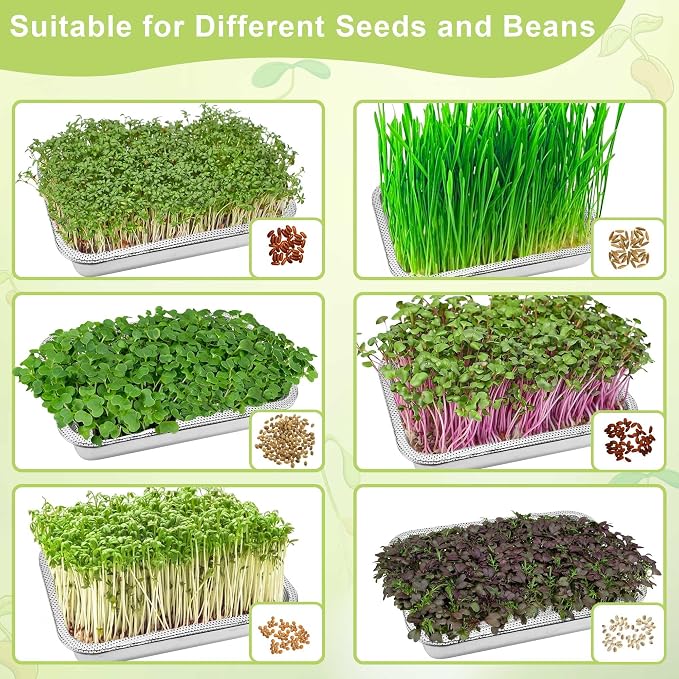 Stainless Steel Sprouts Growing Kit 2-Tier 12.4 inch Trays, Microgreens Growing Kit, Seed Sprouting Tray with Encrypted Mesh Sprouts for Beans Alfalfa Broccoli Wheat Grass