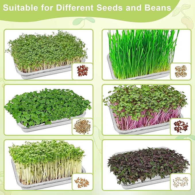 Stainless Steel Sprouts Growing Kit 4-Tier 14 inch Trays, Microgreens Growing Kit, Seed Sprouting Tray with Encrypted Mesh Sprouts for Beans Alfalfa Broccoli Wheat Grass