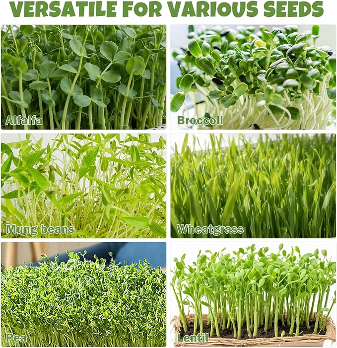 2 Pack 304 Stainless Steel Round Seed Sprouter Trays, 2-Tier Soil-Free Microgreens Growing Kit, Rust-Free Sprouting Tray with Cover Lids & Mesh Pads for Sprouts Beans Alfalfa Wheatgrass