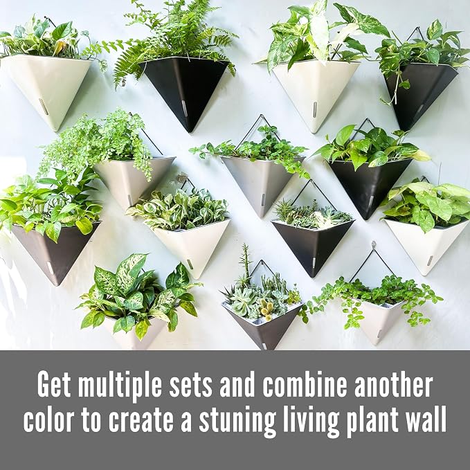 LaLaGreen Wall Planters for Indoor Plants - 4 Pack, 12 Inch Large Self Watering Black and White Mixed Color Geometric Indoor Vertical Garden Wall Hanging Flower Vase Vessel with Metal Hanger Stylish