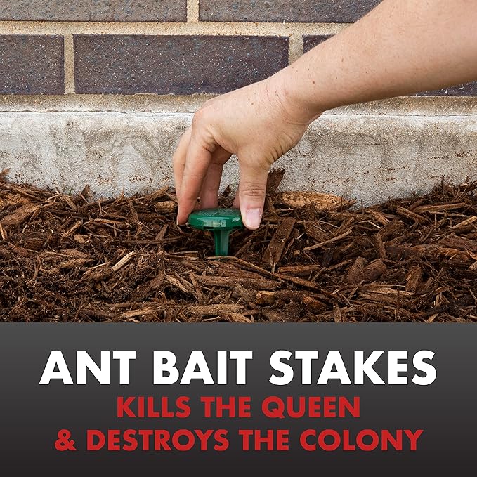 Spectracide Ant Shield Outdoor Killing Stakes 6 Count, Kills The Queen And Colony