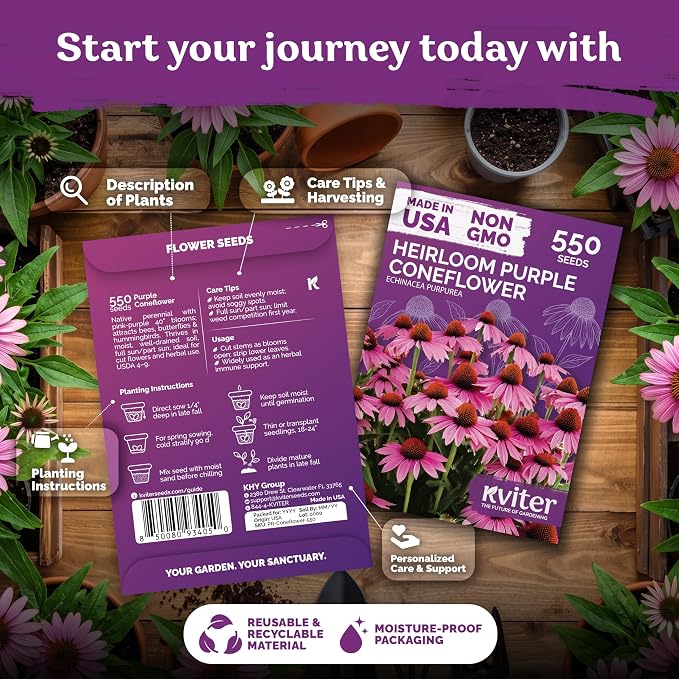 KVITER 550 Purple Coneflower Seeds (Echinacea Purpurea) – Echinacea Herb Flower Seeds For Planting, Medicinal Wild Flower Seed Packets – Wildflower Pollinator for Home Garden, Containers, Flowers Beds