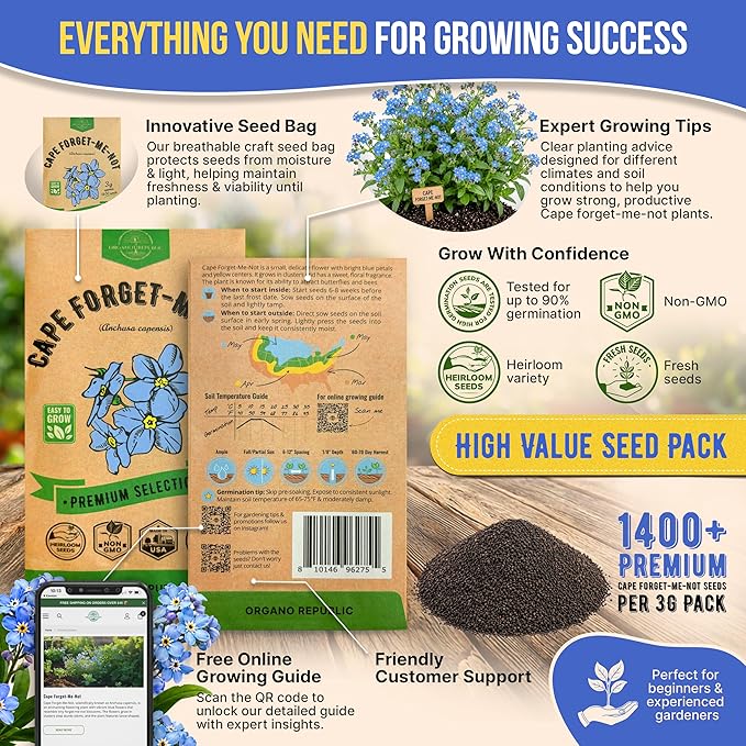 Cape Forget-Me-Not Seeds Pack 3G - Over 1,400 Non-GMO Heirloom Cape Forget-Me-Not Seeds for Planting Flowers in Individual Seed Packet, Flower Seeds for Planting Home Garden Indoor & Outdoor Gardening