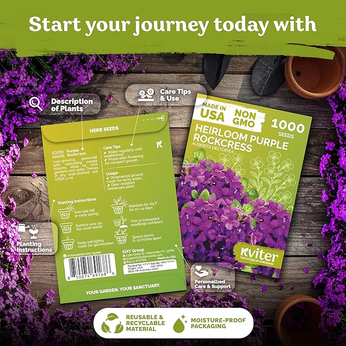 KVITER 1,000 Purple Rock Cress Seeds Perennial (Aubrieta deltoidea) - Aubrieta Seed, Lilacbush, Non-GMO & Ground Cover Seed - Ideal Flower Seeds for Planting in Beds, Rock Garden & Walls