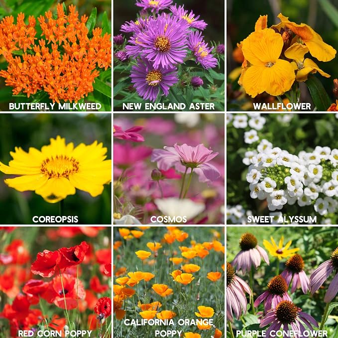Wildflower Seeds Bulk, 2 Oz. 80,000+ Seeds – Save the Bees Mix with 19 Non-GMO Varieties – Bee Friendly & Pollinator Wildflower Seed for Planting