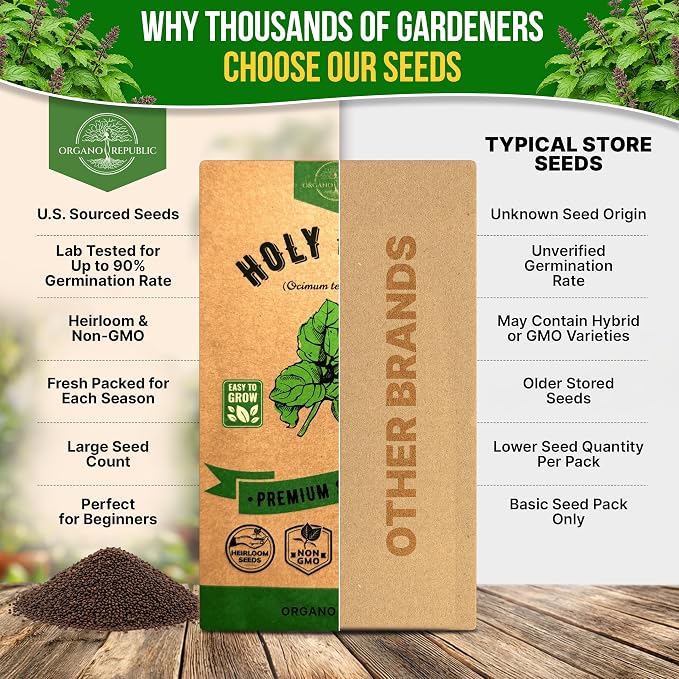 Organo Republic Holy Basil Seeds Pack 0.5 G - Over 1,400 Non-GMO Heirloom Basil Seeds for Planting Herbs in Individual Seed Packet, Herbs Seeds for Planting Home Garden Indoor & Outdoor Gardening
