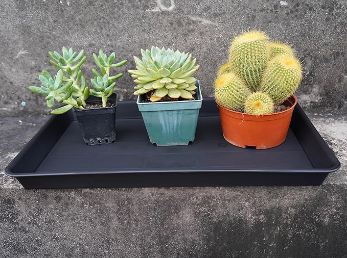 VUWEZ Plant Growing Trays 6 Pack, Plant Tray, 14.5"x11", Heavy Sturdy Plastic Plants Saucer, Seedling Starter Trays, Seed Starter Growing Tray (Black)