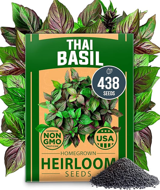HOME GROWN Thai Basil Seeds Pack - 438 High Germination Heirloom Herb Seeds for Planting,Ideal for Growing Fresh Basil Planting Indoor or Outdoor(Ocimum basilicum VAR.thyrsiflora)