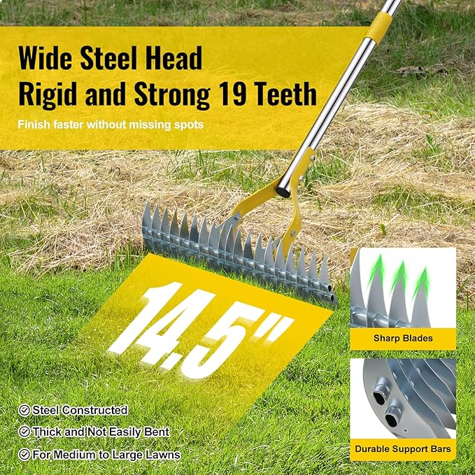 Thatch Rake, 2 in 1 Stainless Steel Garden Rake for Thatch Leaves,55” Heavy Duty 19 Tines Lawn Manual Dethatcher with Adjustable Head,Thatching Rakes for Lawn Yard Grass,Debris Removal, Soil Loosen