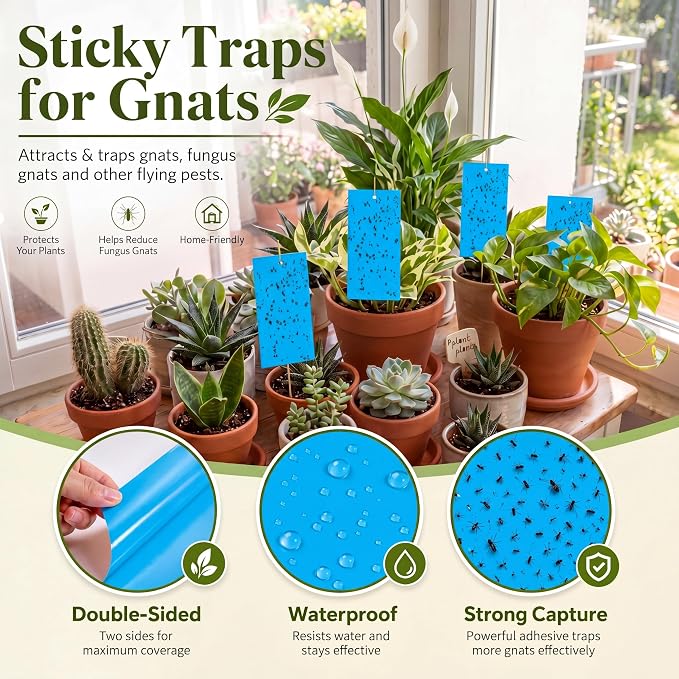 Qualirey 100 Pcs 7.87 x 3.9 Inch Blue Sticky Traps for Thrips Double Sided Sticky Trap for Gnats Plant,Thrips, Aphids, and Black Flies with Twist Ties,Indoor and Outdoor
