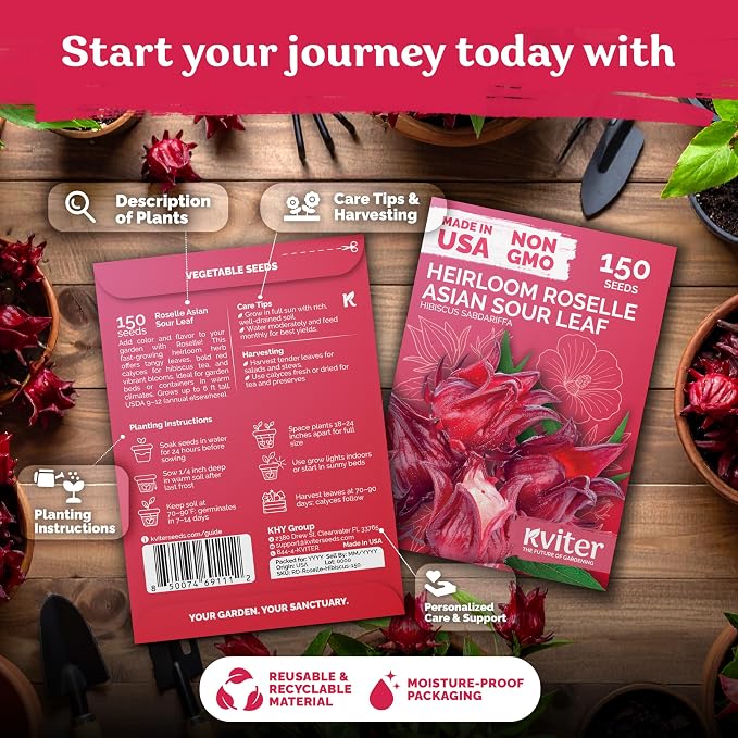 KVITER 150 Roselle Seeds for Planting (Hibiscus Sabdariffa) – Jamaican Sorrel/Cranberry Hibisco Seeds/Gongura Seed/Sour Leaf Seed – Perfect for Hibiscus Tea, Outdoor & Indoor Garden