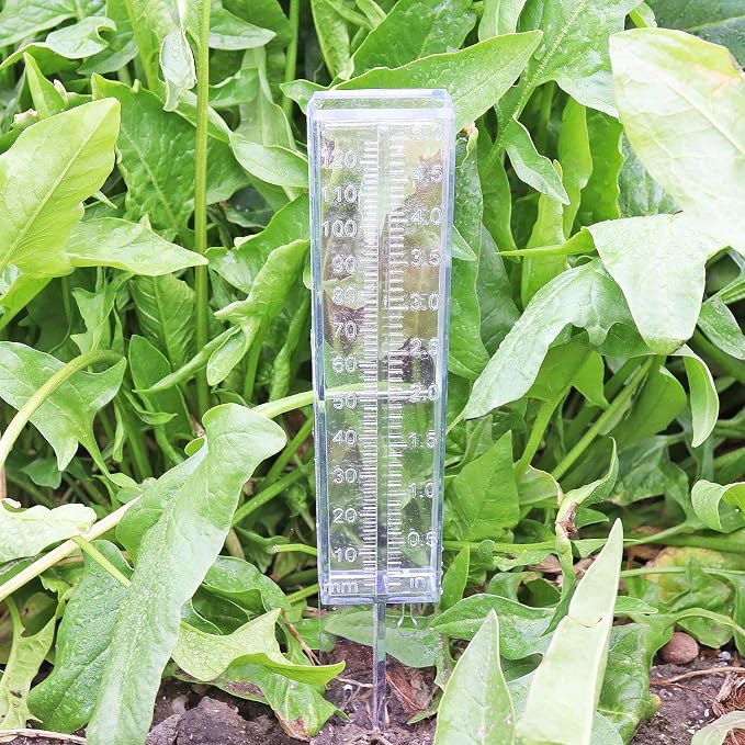 Rain Gauge 2 Pack-Plastic Home Clear Rain Water Meter for Lawn Yard Garden Outdoor Home (Pack of 2)